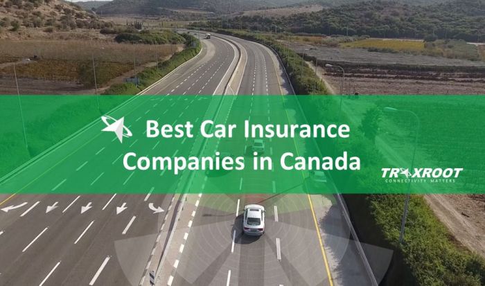 Car insurance companies in canada