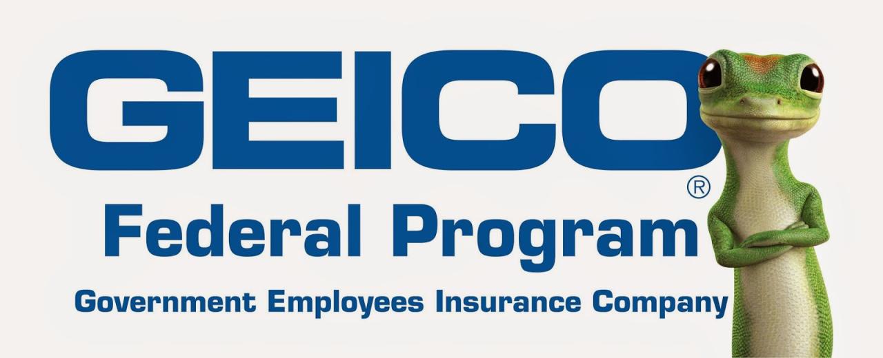 Geico car insurance florida