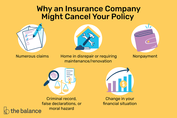 Can insurance company cancel your policy