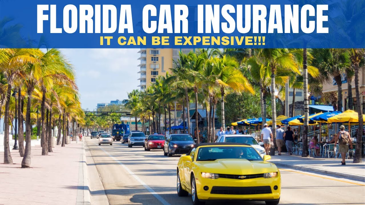 Car insurance tampa florida