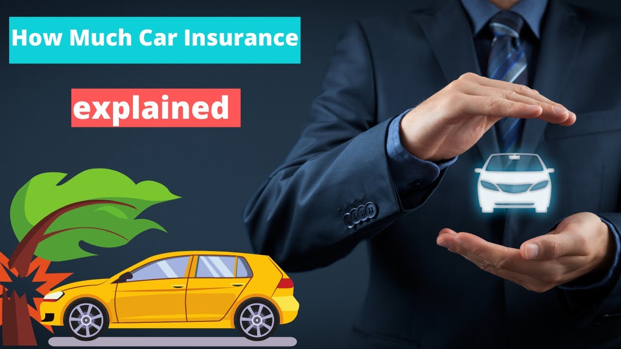 How much car insurance do i need in florida