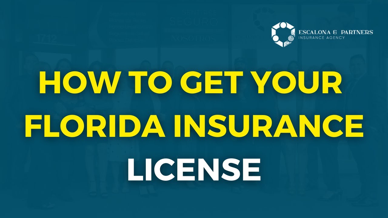 Car insurance license florida