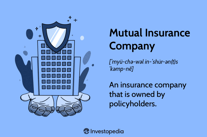 What is a mutual insurance company