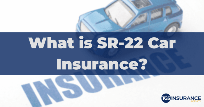 What car insurance companies offer sr22