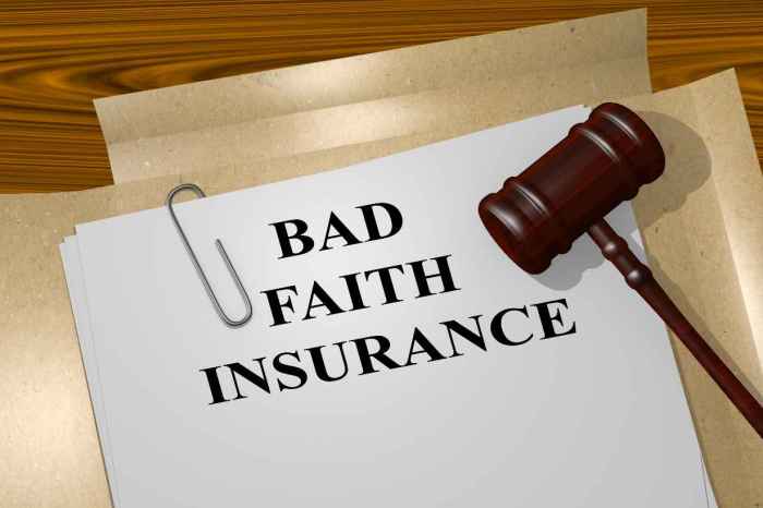 Claim insurance faith provider against bad handling do person